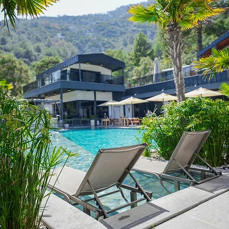 Ramitos تورونشْ